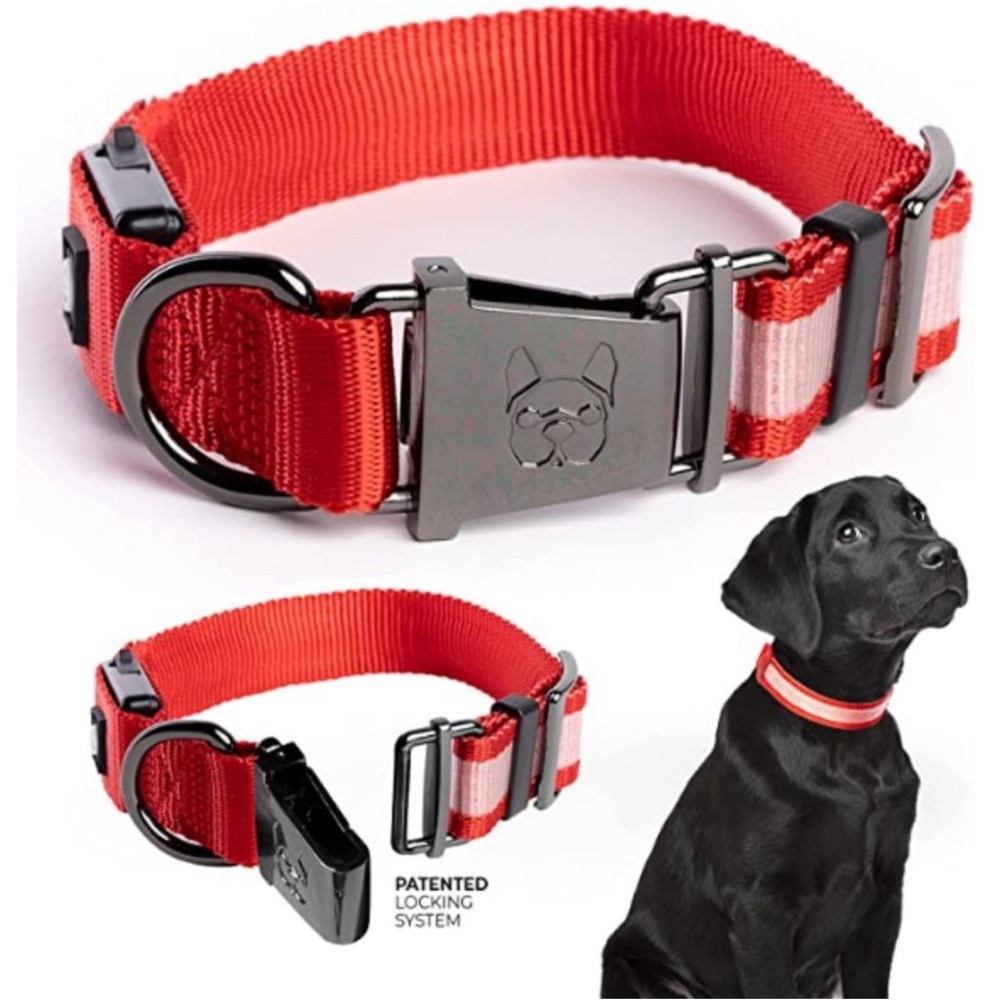 Country Living by Silver Paw Light Up Dog Collars, LED USB Rechargeable M